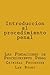 Introduccion Al Procedimiento Penal: Las Fundaciones de Procedimiento Penal
