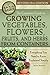 The Complete Guide to Growing Vegetables, Flowers, Fruits, and Herbs from Containers Everything you Need to Know Explained Simply Revised 2nd Edition (Back to Basics)