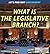 What Is the Legislative Branch? by Matthew Cummings