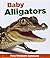 Baby Alligators (Baby Animals Set 2)