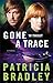 Gone Without a Trace (Logan Point)