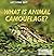 What is Animal Camouflage? (Let's Find Out! Animal Life, 5)