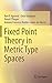 Fixed Point Theory in Metric Type Spaces