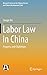 Labor Law in China: Progress and Challenges (Research Series on the Chinese Dream and China’s Development Path)