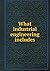 What industrial engineering...