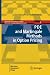 PDE and Martingale Methods ...