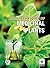 Agro Techniques of Medicinal Plants by Ravindra Sharma