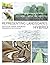 Representing Landscapes: Hybrid: Hybrid