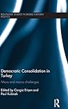 Democratic Consolidation in Turkey: Micro and macro challenges (Routledge Studies in Middle Eastern Politics)