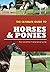 The Ultimate Guide To Horses & Ponies