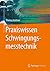 Praxiswissen Schwingungsmesstechnik (German Edition)