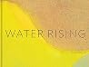 Water Rising