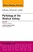 Pathology of the Medical Kidney, an Issue of Surgical Patholo... by Andrew C. Chang