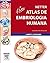 Netter Atlas de Embriologia Humana: Edi��o Revista E Atualizada