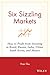 Six Sizzling Markets by Pran Tiku