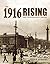 The 1916 Rising by Turtle Bunbury