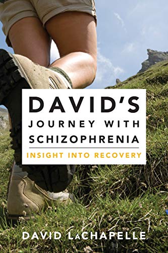 David's Journey with Schizophrenia: Insight into Recovery (David's Trilogy with Schizophrenia)
