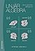 Linjär Algebra - från en geometrisk utgångspunkt