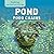 Pond Food Chains (Exploring Food Chains and Food Webs)