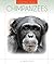 Chimpanzees (Endangered Animals)