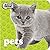 Pets