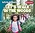 Let's Walk in the Woods (Let's Go Outdoors!)