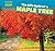The Life Cycle of a Maple Tree (Watch Them Grow!)