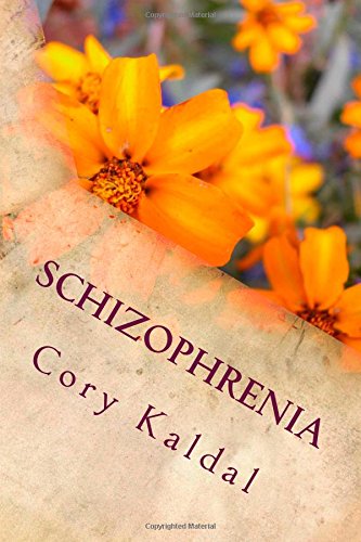 Schizophrenia: Circumstances To Recovery (Paperback)