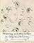 Drawing and the Senses in Early Modern History by Caroline Fowler