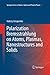 Polarization Bremsstrahlung on Atoms, Plasmas, Nanostructures and Solids (Springer Series on Atomic, Optical, and Plasma Physics, 72)