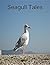 Seagull Tales