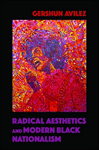 Radical Aesthetics and Modern Black Nationalism (New Black Studies Series)