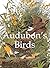 Audubon's Birds