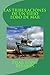 LAS TRIBULACIONES DE UN VIEJO LOBO DE MAR (Novelas adolescentes) by Pilar López Bernués