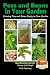 Peas and Beans in Your Garden - Growing Peas and Beans Easily in Your Garden