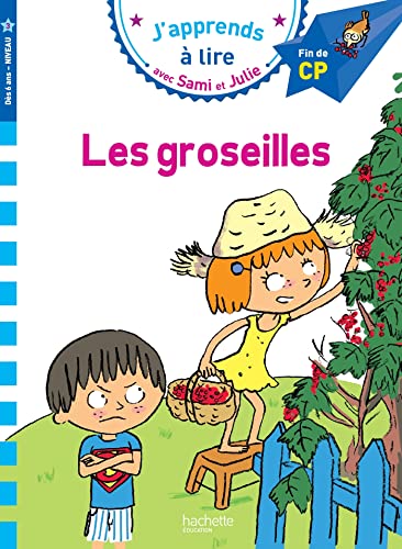 Sami et Julie CP Niveau 3 Les Groseilles (Pocket Book)
