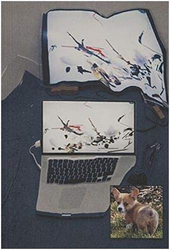 Ian Cheng: Live Simulations (Paperback)