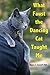 What Faust the Dancing Cat Taught Me by Signe A. Dayhoff