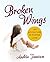 Broken Wings: An Adventure in Foster Care