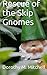 Rescue of the Skip Gnomes by Dorothy M Mitchell