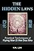 The Hidden Laws by Y.M. Lim