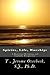 Spirits, Life, Worship by T. Jerome Overbeck