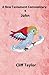 New Testament Commentary - 4 - John