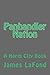 Panhandler Nation by James Lafond