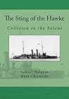 The Sting of the Hawke: Collision in the Solent
