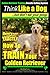 Golden Retriever Training - Results Getting System | Think Li... by Mr Paul Allen Pearce
