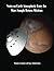 Notes on Earth Atmospheric Entry for Mars Sample Return Missions