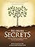 No More Secrets: A Therapist's Guide to Group Work with Adult Survivors of Sexual Violence