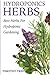 Hydroponics Herbs: Best Her...