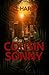 Cousin Sonny: An Orphan's Tale